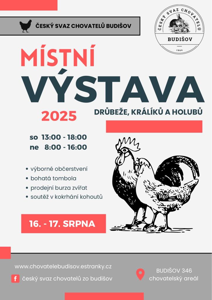 Výstava