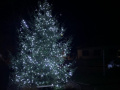 Rozsvícení vánočního stromu 2022